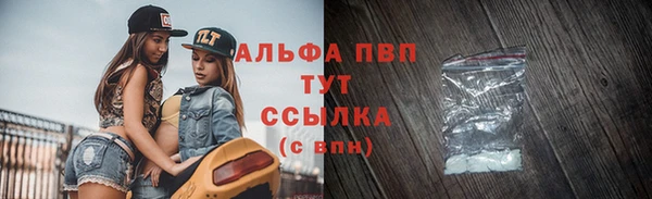 прущие грибы Белокуриха