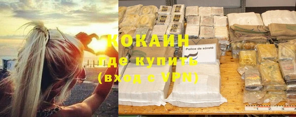 прущие грибы Белокуриха