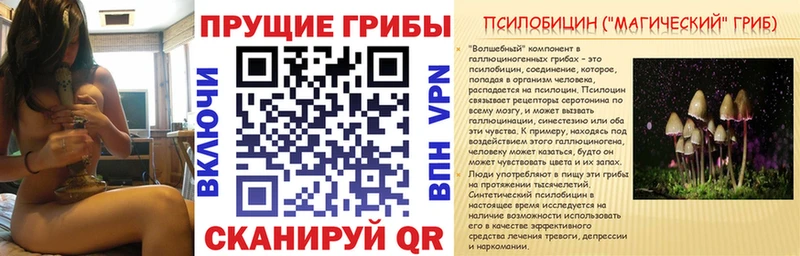 купить наркоту  Нижняя Салда  Псилоцибиновые грибы мицелий 