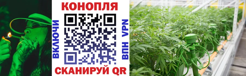 Каннабис OG Kush Нижняя Салда